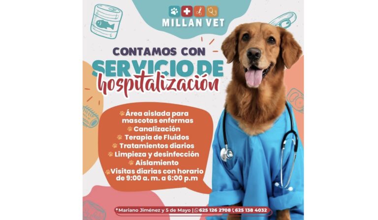 Imagen 24 02 26 a las 11.34 a.m 768x447